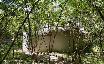 Bakwena Lodge Kasane Exterior foto